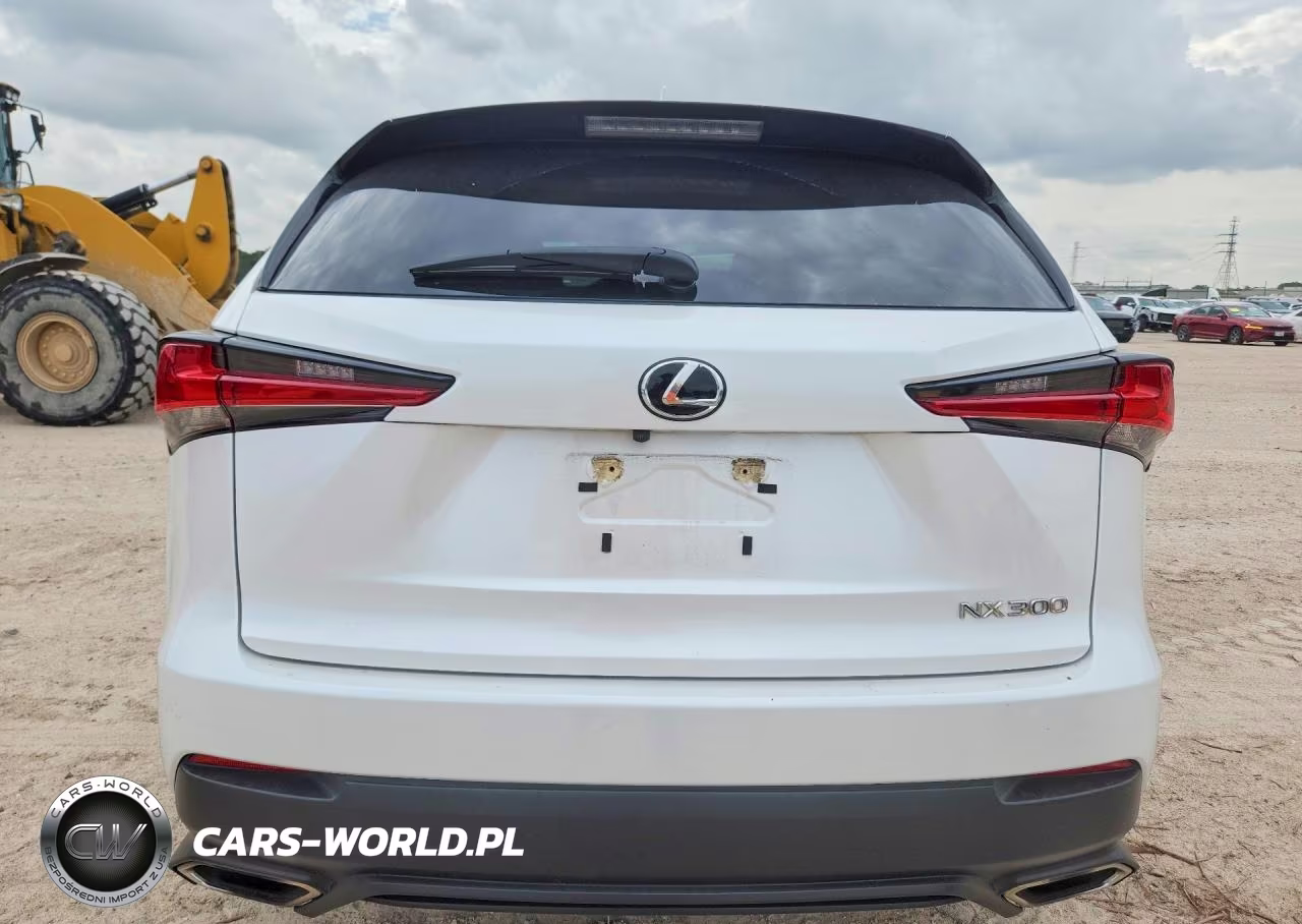 2021 Lexus Nx 300 Base VIN:JTJDARBZ7M5021951 - 6