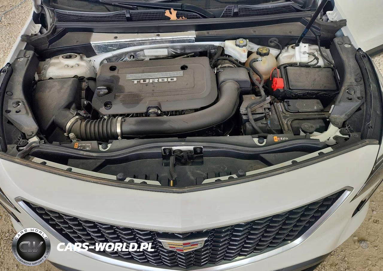 2019 Cadillac Xt4 Sport VIN:1GYFZER40KF199418 - 12