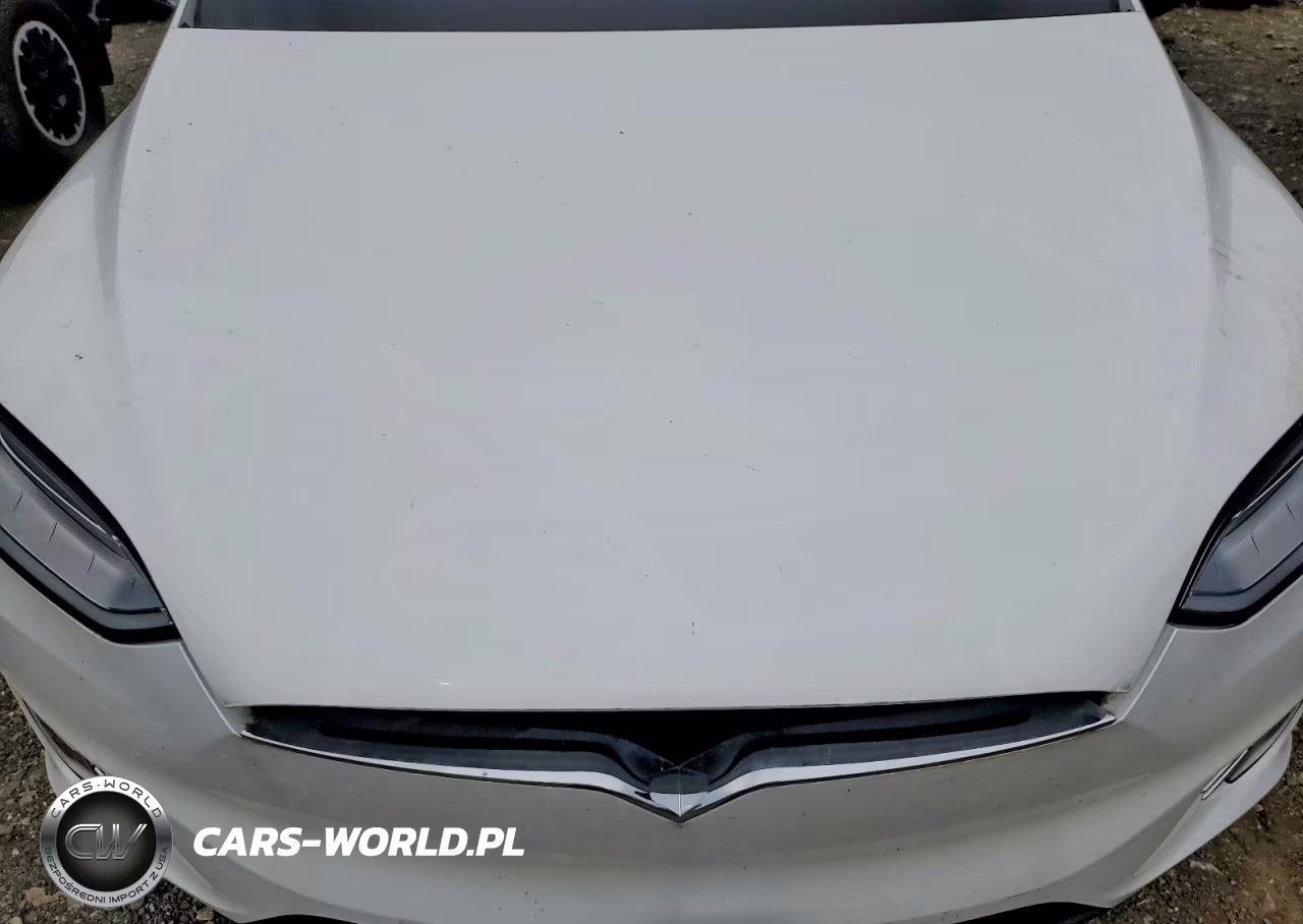 2016 Tesla Model X VIN:5YJXCBE29GF022814 - 11