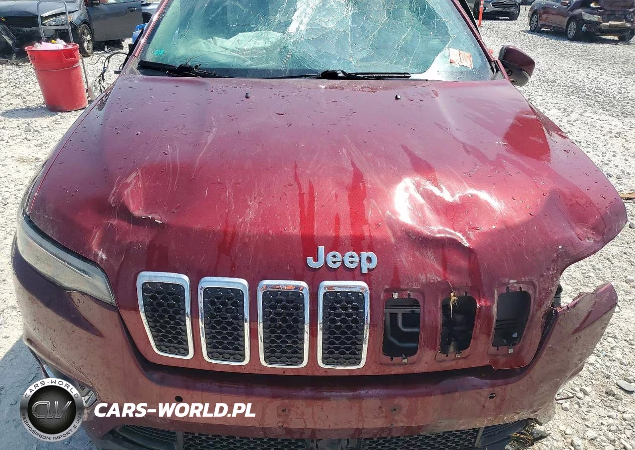 2019 Jeep Cherokee Limited VIN:1C4PJMDX2KD252418 - 12