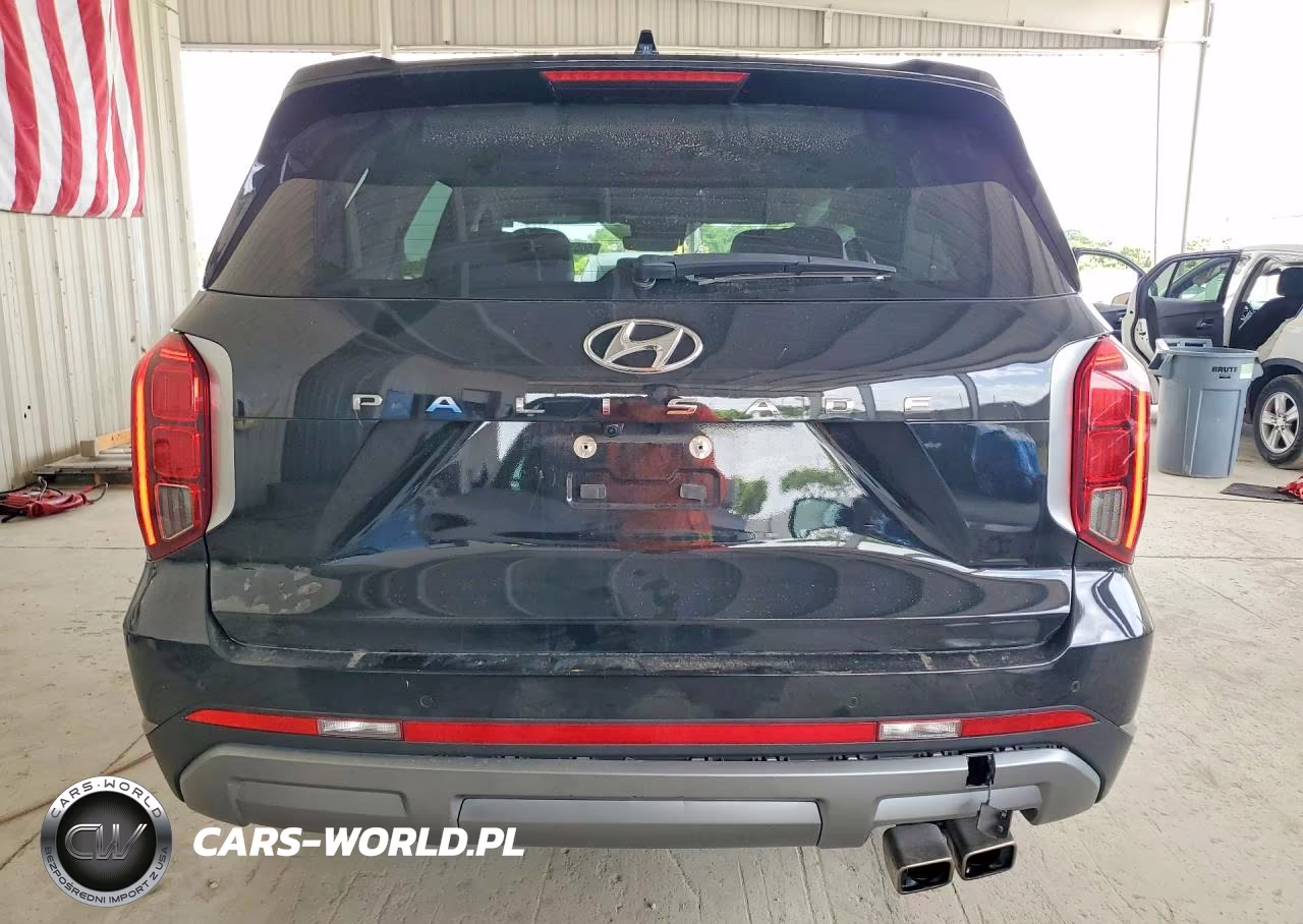2024 Hyundai Palisade Sel Premium VIN:KM8R44GE1RU690962 - 6