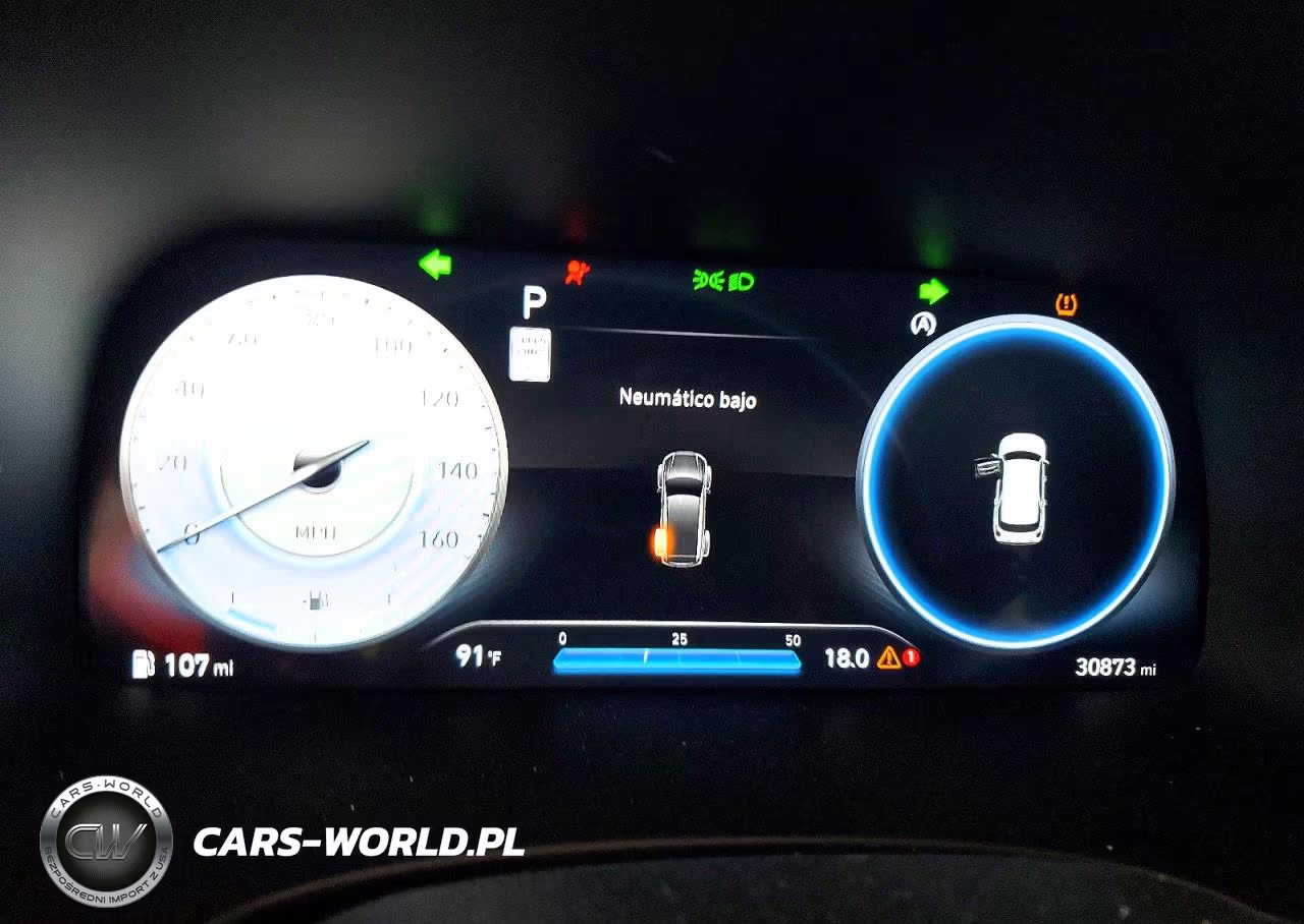 2024 Hyundai Palisade Sel Premium VIN:KM8R44GE1RU690962 - 9