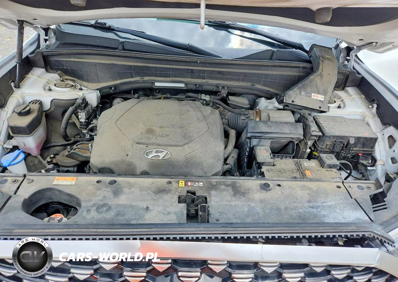 2022 Hyundai Palisade Calligraphy VIN:KM8R74HE0NU395674 - 12
