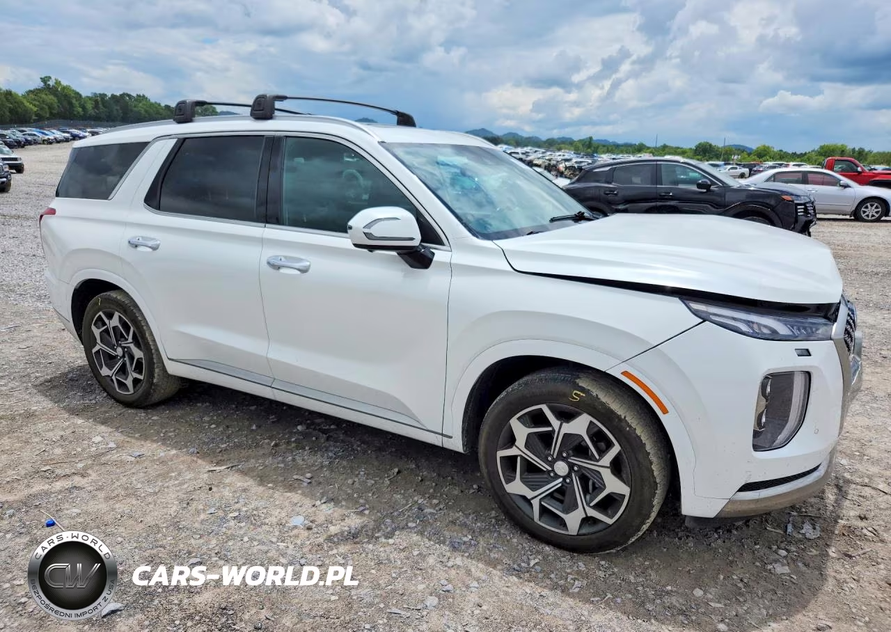 2022 Hyundai Palisade Calligraphy VIN:KM8R74HE0NU395674 - 4