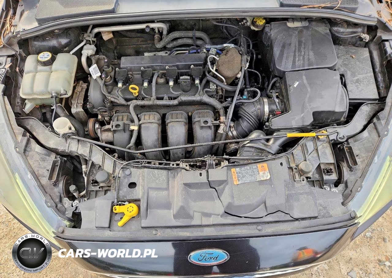 2015 Ford Focus Se VIN:1FADP3F24FL283667 - 11