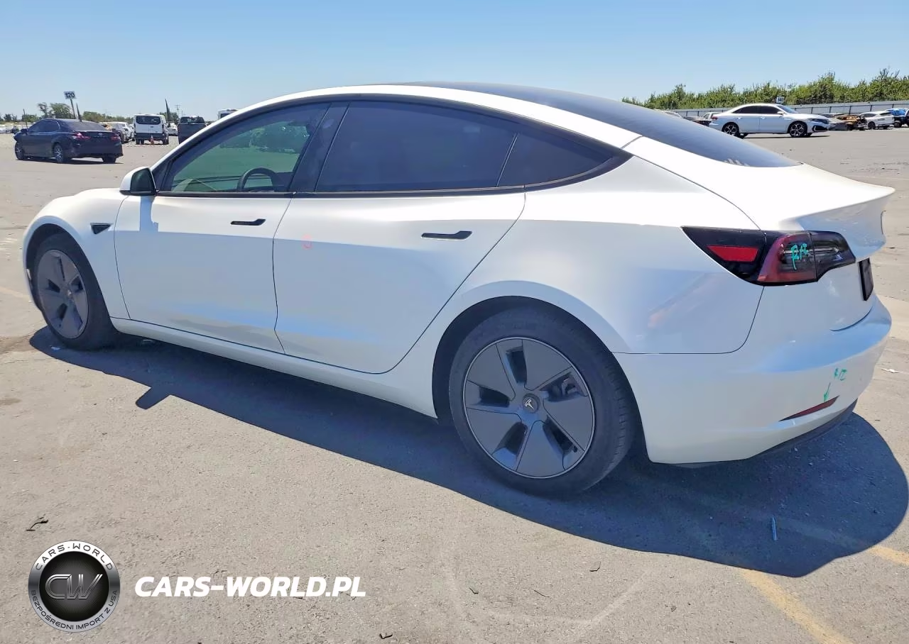 2023 Tesla Model 3 VIN:5YJ3E1EA2PF562791 - 2