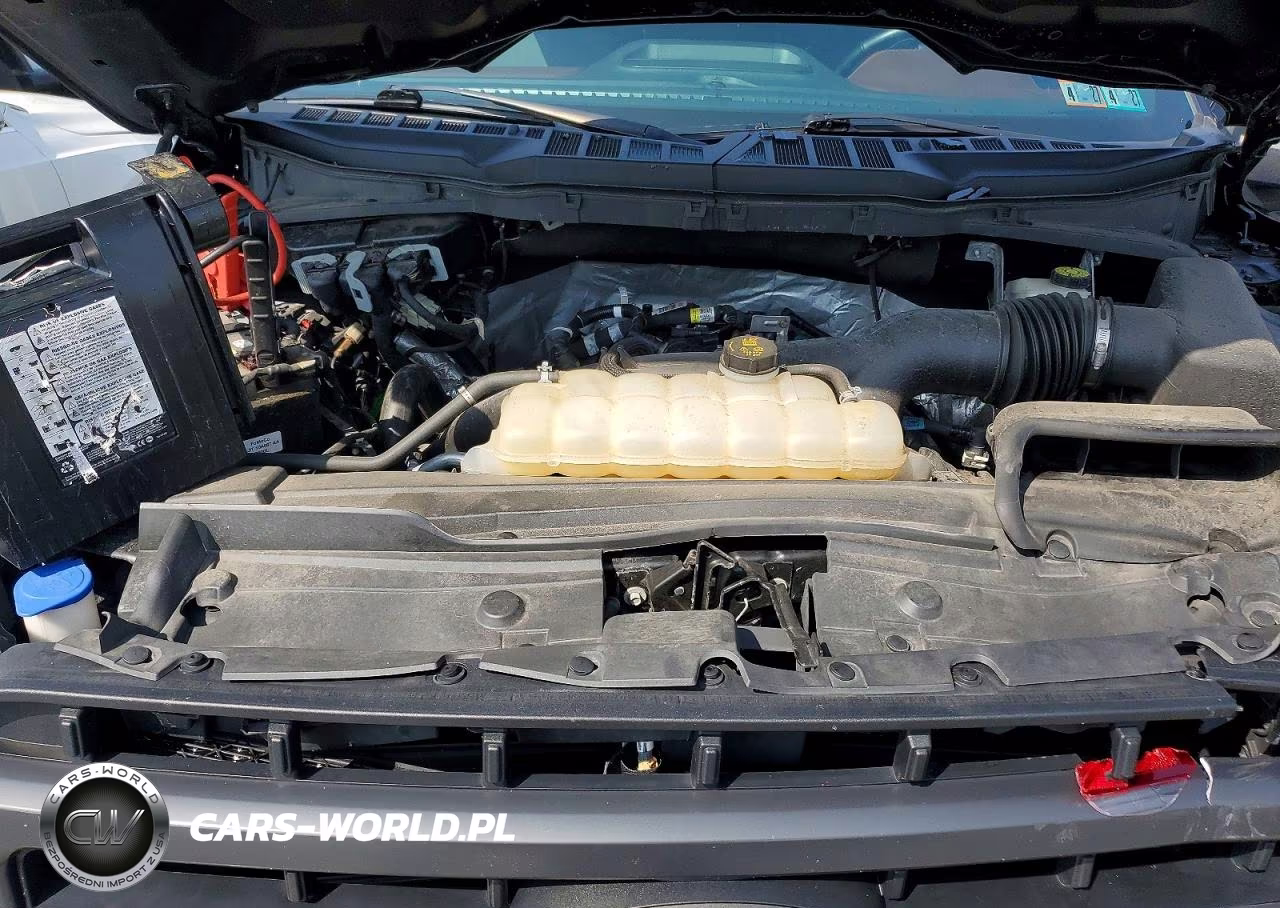 2021 Ford F150 Supercrew VIN:1FTEW1EP7MFB32742 - 11