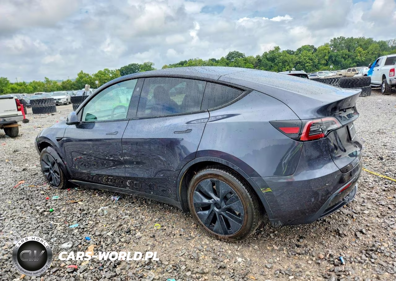 2025 Tesla Model Y VIN:7SAYGDEE1SA355497 - 2