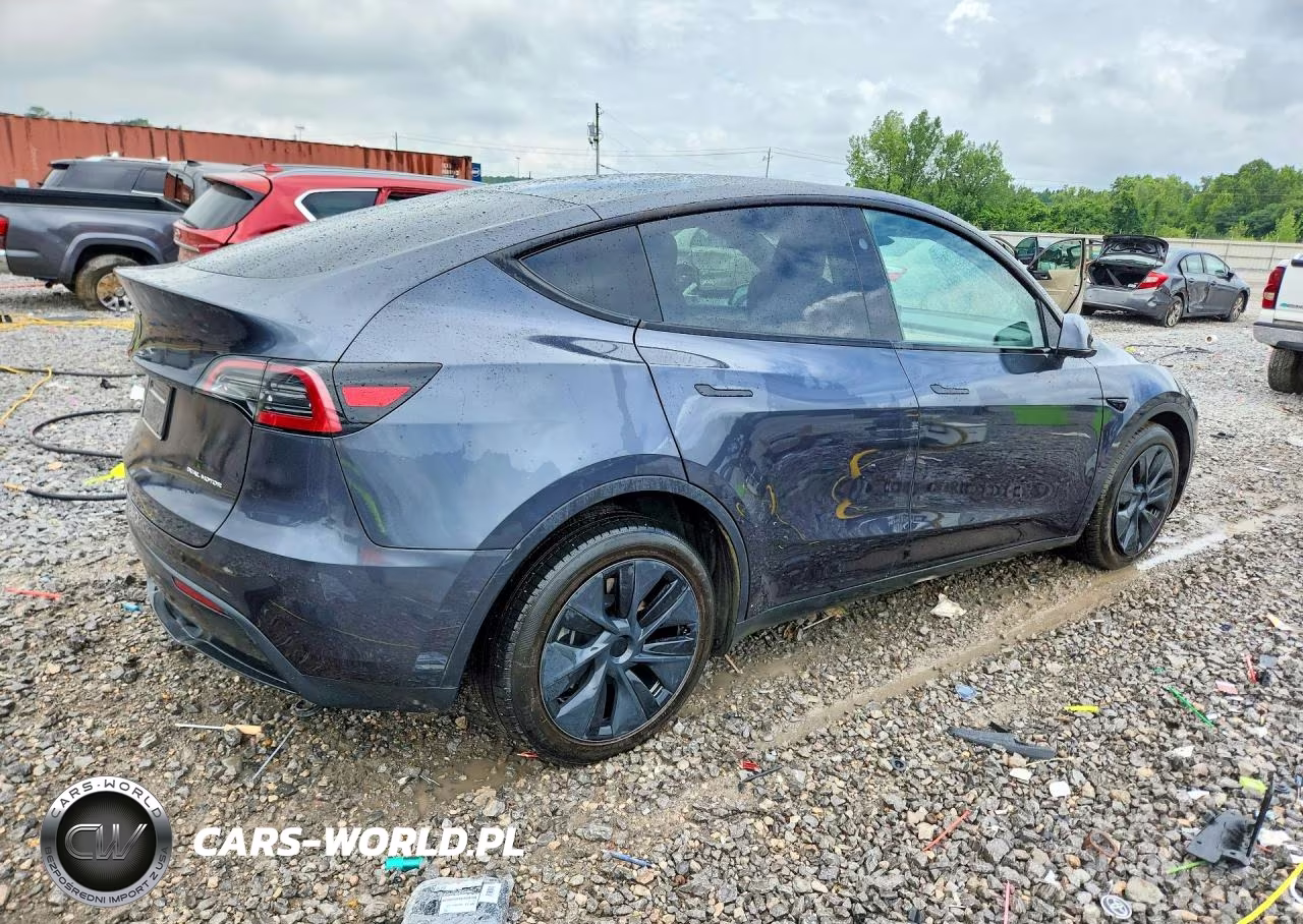 2025 Tesla Model Y VIN:7SAYGDEE1SA355497 - 3