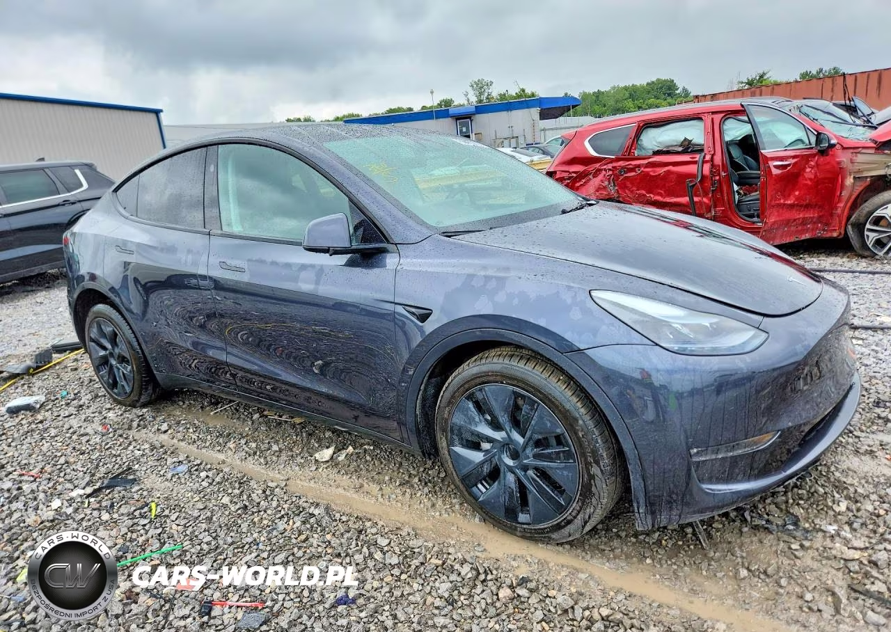 2025 Tesla Model Y VIN:7SAYGDEE1SA355497 - 4