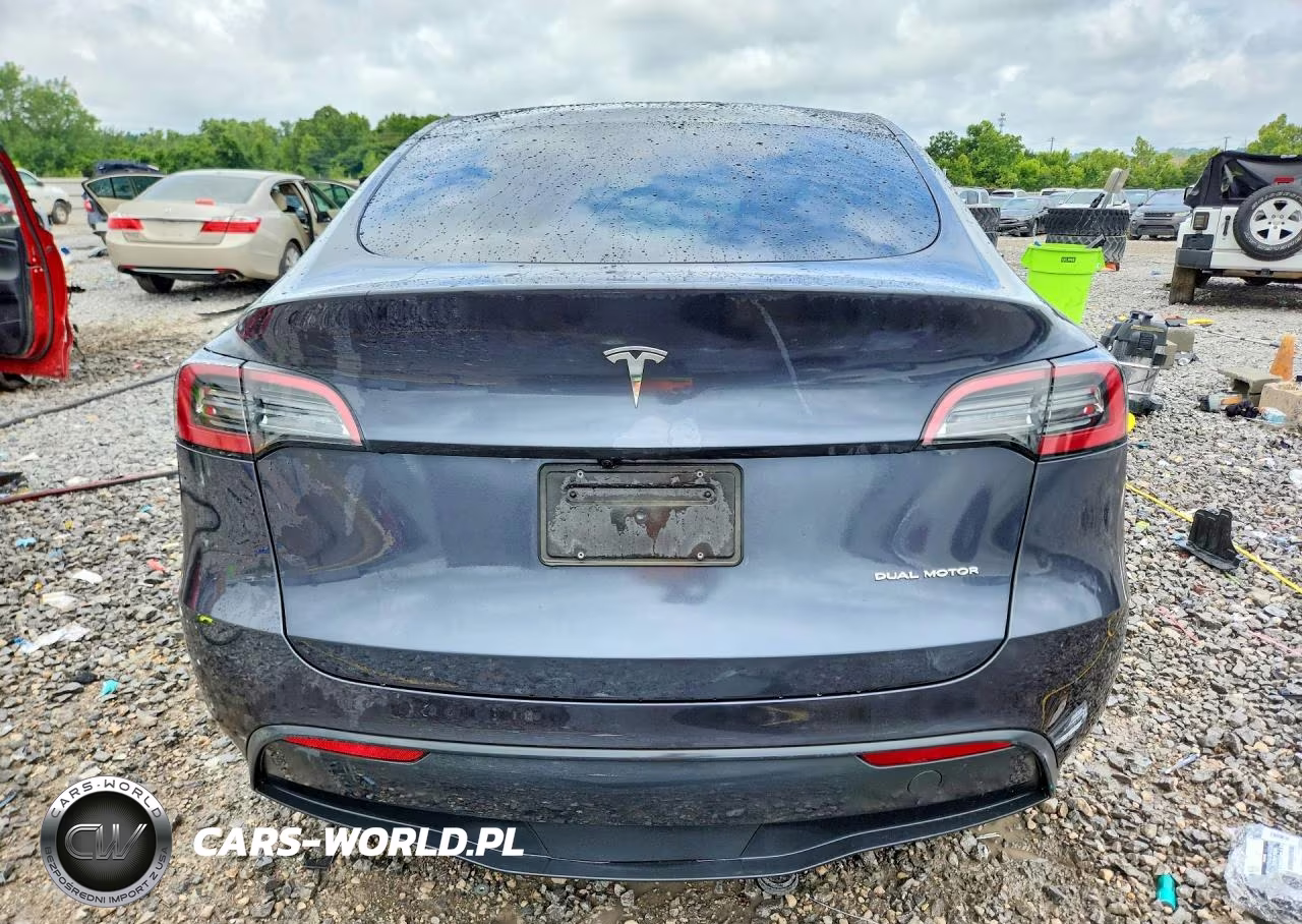 2025 Tesla Model Y VIN:7SAYGDEE1SA355497 - 6
