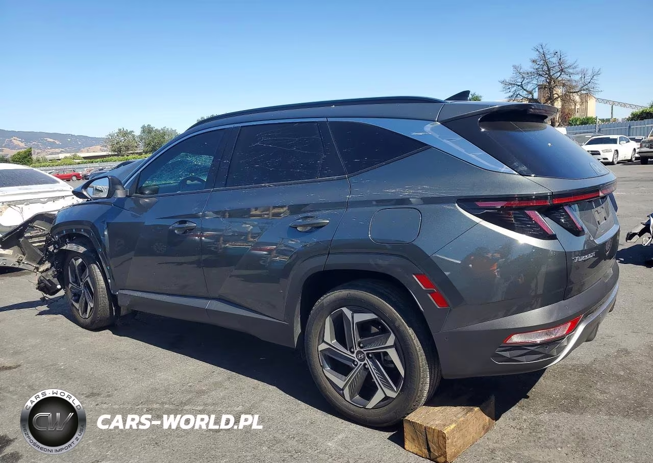 2024 Hyundai Tucson Limited VIN:KM8JECD10RU214756 - 2