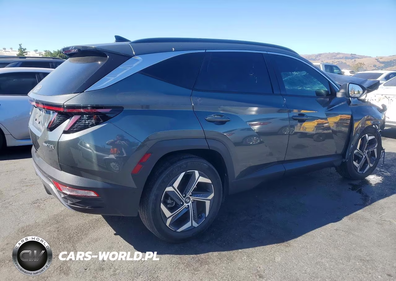 2024 Hyundai Tucson Limited VIN:KM8JECD10RU214756 - 3