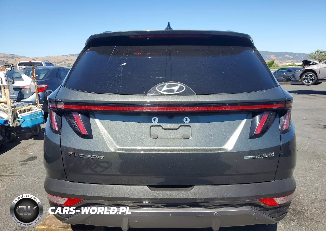 2024 Hyundai Tucson Limited VIN:KM8JECD10RU214756 - 6