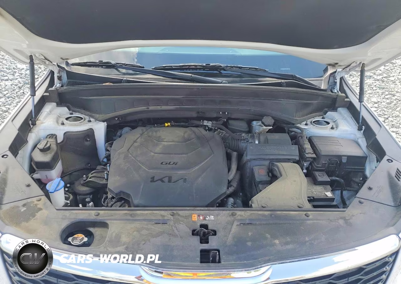 2022 Kia Telluride Lx VIN:5XYP24HCXNG324122 - 12