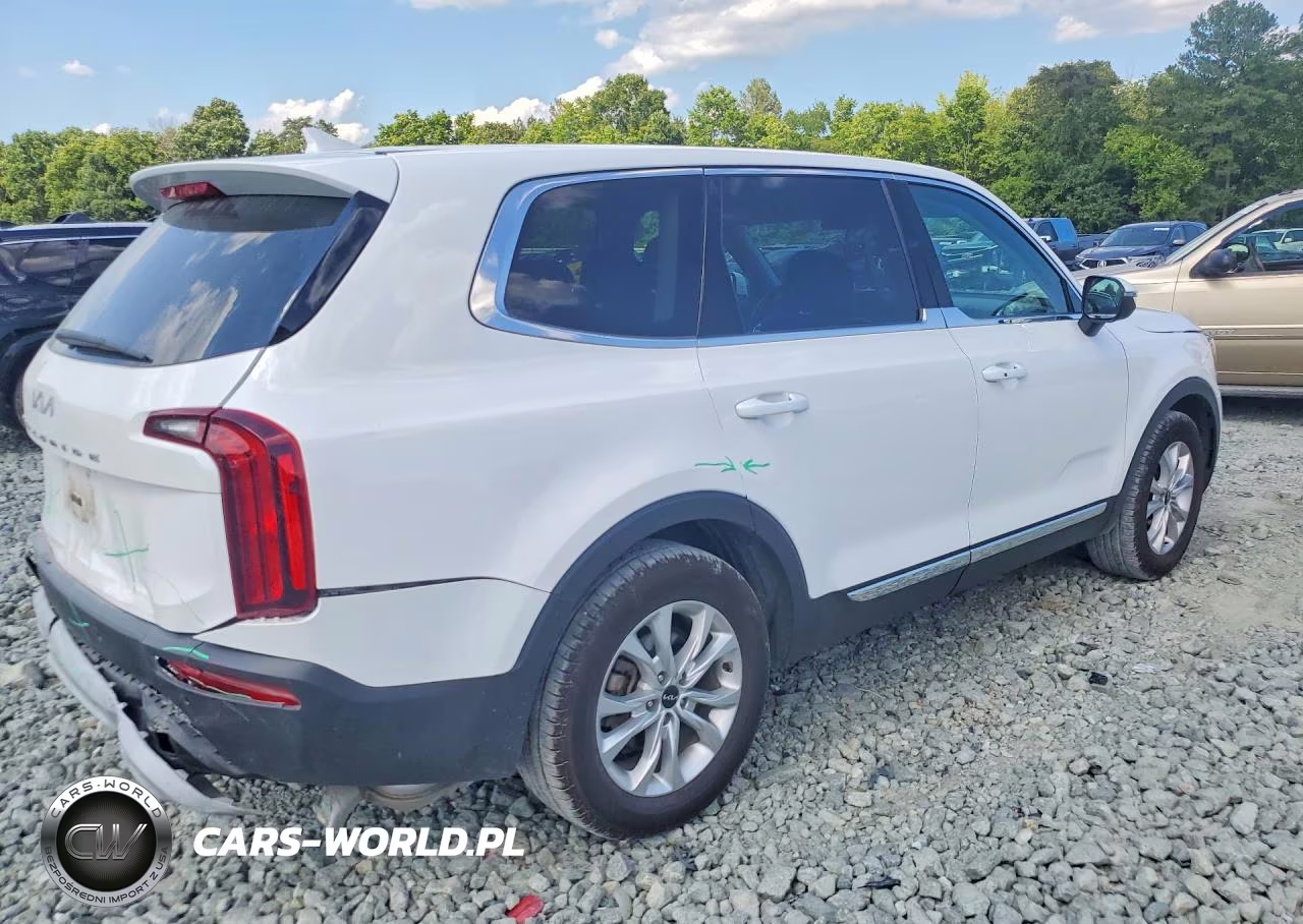 2022 Kia Telluride Lx VIN:5XYP24HCXNG324122 - 3