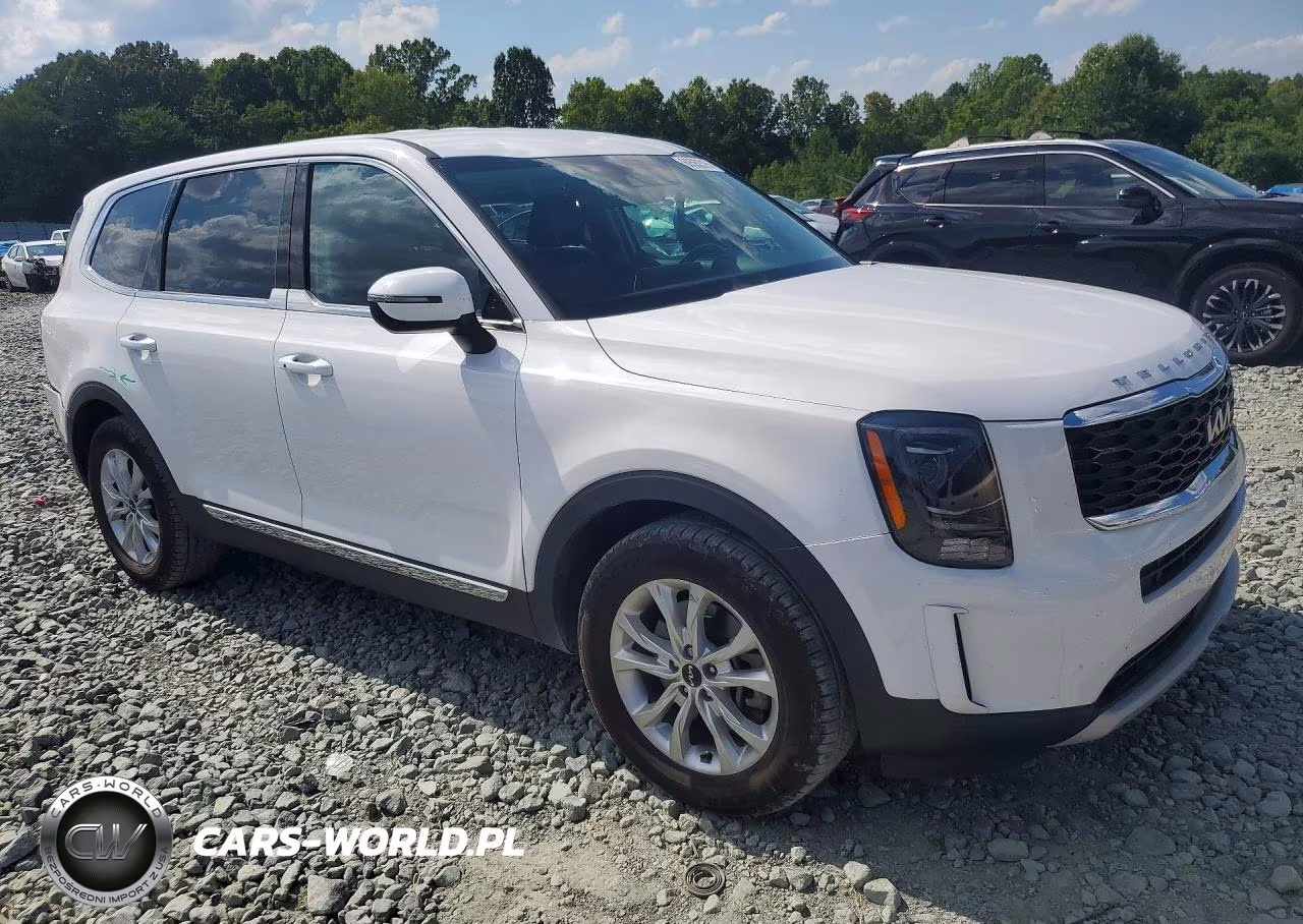 2022 Kia Telluride Lx VIN:5XYP24HCXNG324122 - 4