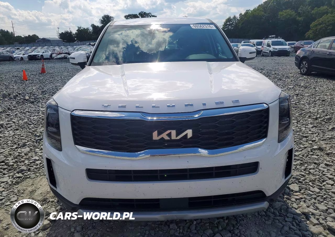 2022 Kia Telluride Lx VIN:5XYP24HCXNG324122 - 5