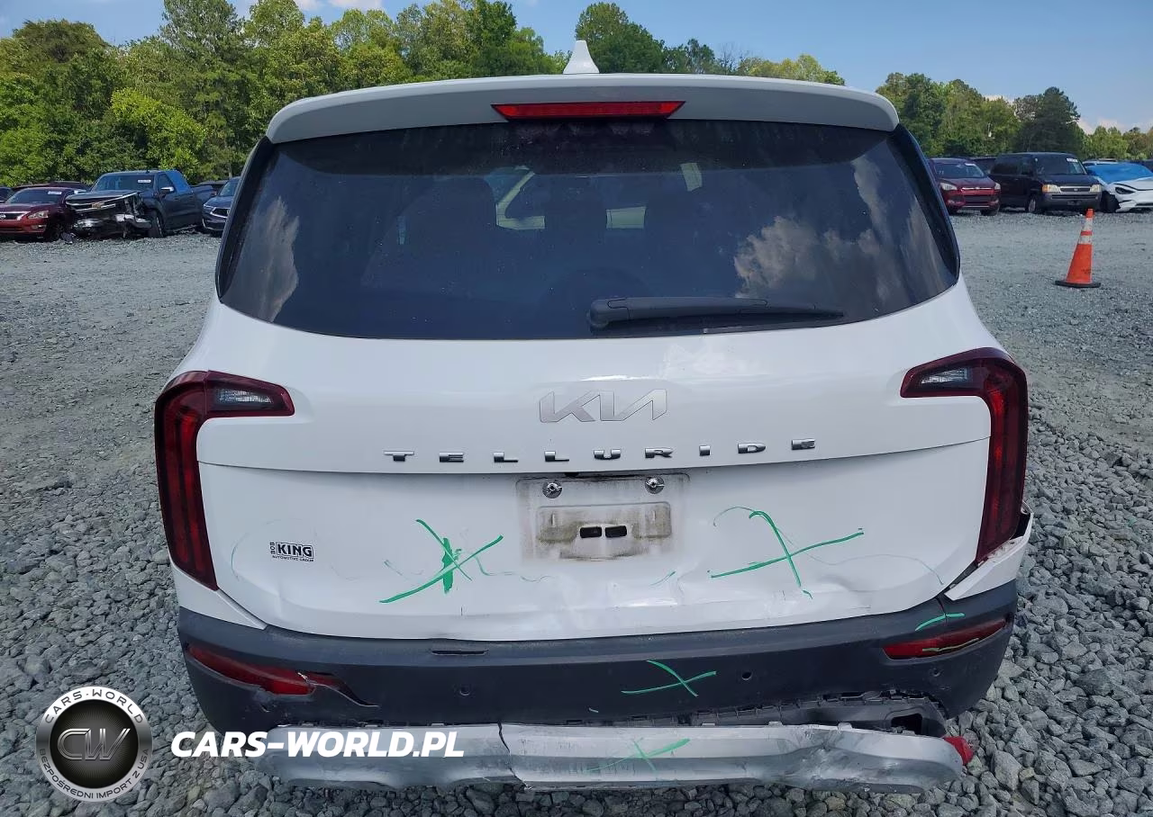 2022 Kia Telluride Lx VIN:5XYP24HCXNG324122 - 6