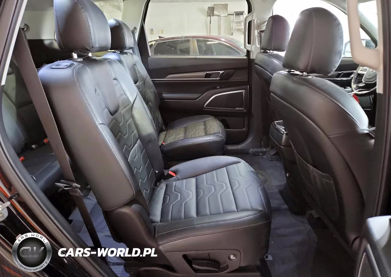 2021 Kia Telluride Sx VIN:5XYP5DHC7MG103258 - 11