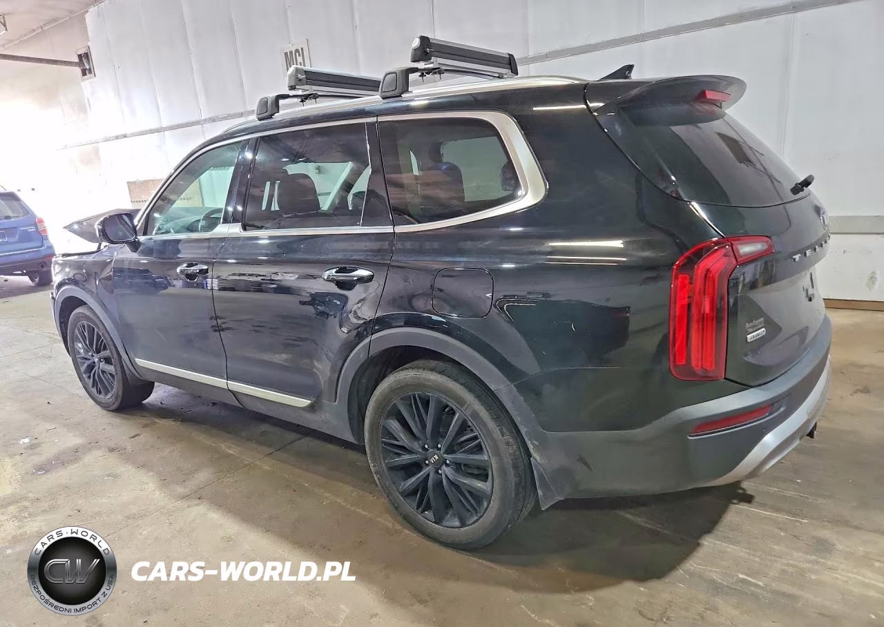2021 Kia Telluride Sx VIN:5XYP5DHC7MG103258 - 2