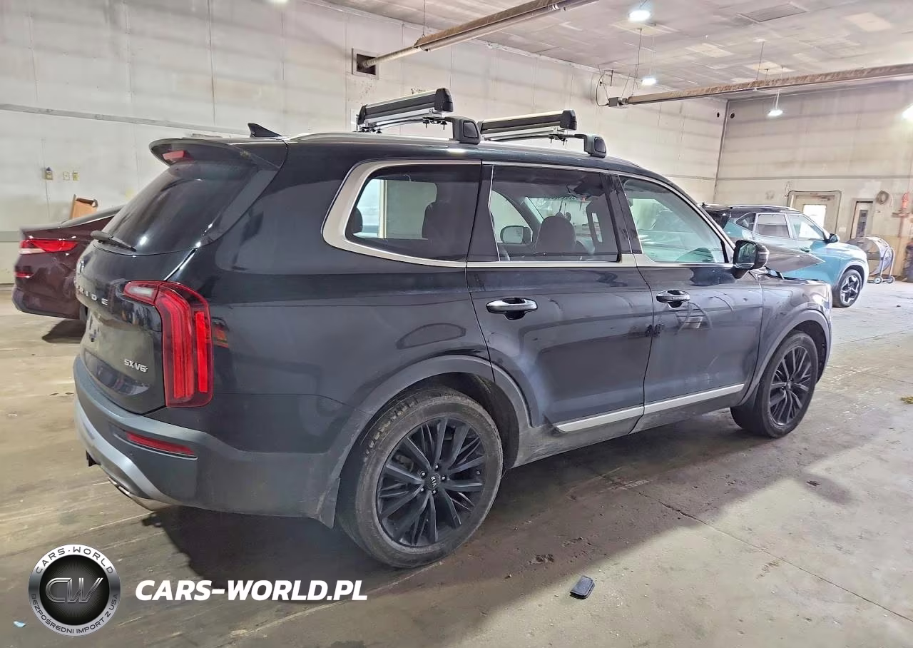 2021 Kia Telluride Sx VIN:5XYP5DHC7MG103258 - 3