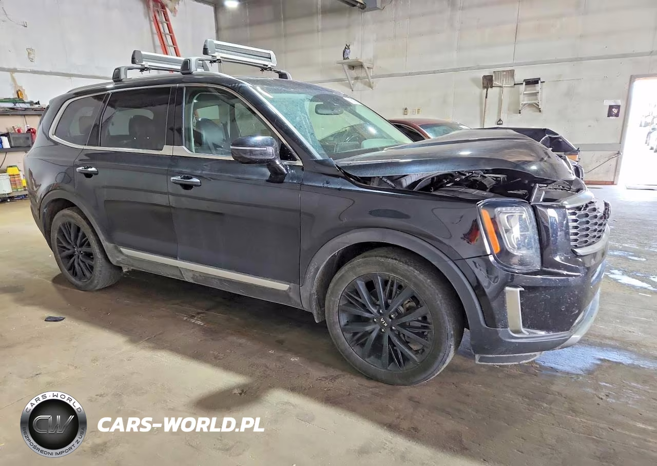 2021 Kia Telluride Sx VIN:5XYP5DHC7MG103258 - 4