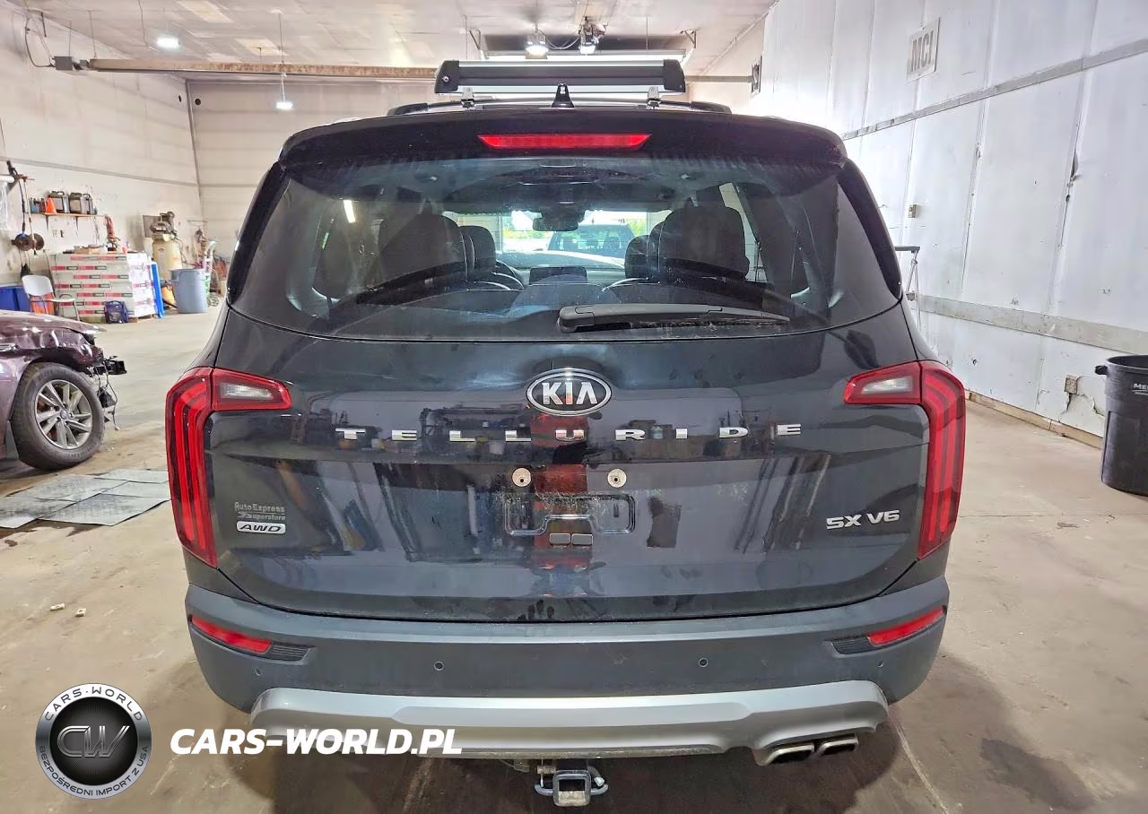 2021 Kia Telluride Sx VIN:5XYP5DHC7MG103258 - 6
