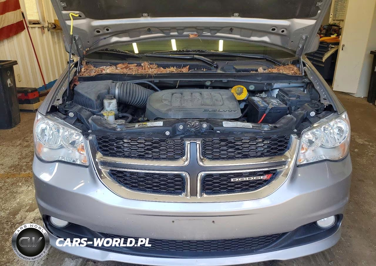 2019 Dodge Grand Caravan Sxt VIN:2C4RDGCG0KR800089 - 12