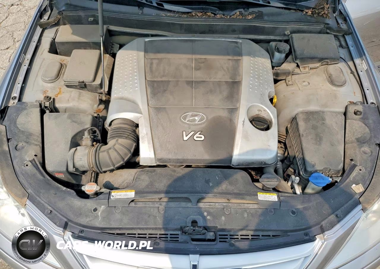 2010 Hyundai Genesis 3.8L VIN:KMHGC4DE2AU089756 - 11