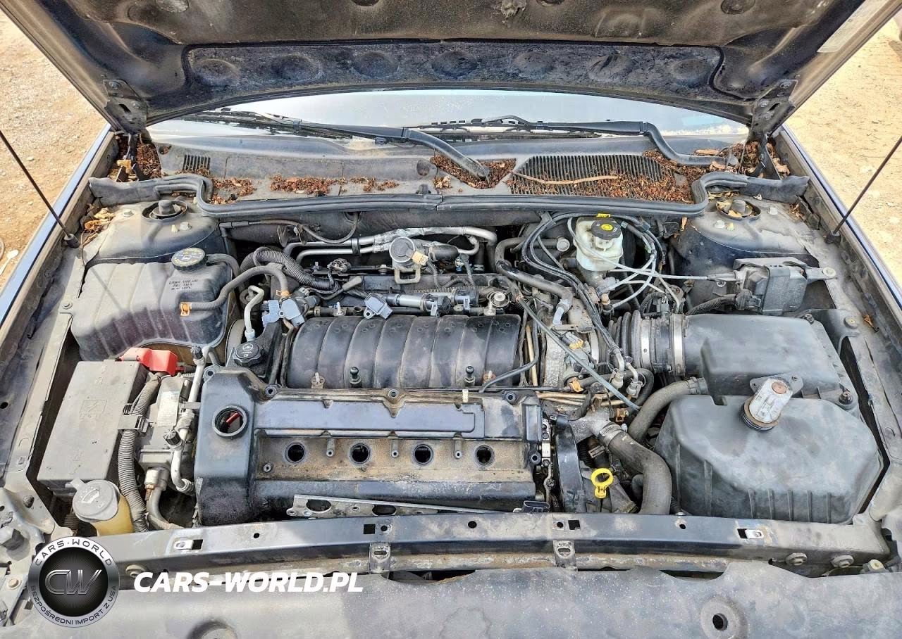 2005 Cadillac Deville VIN:1G6KD54Y75U111206 - 11