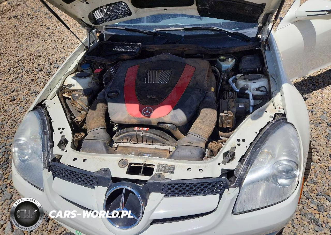 2009 Mercedes-Benz Slk 350 VIN:WDBWK58F49F190808 - 11