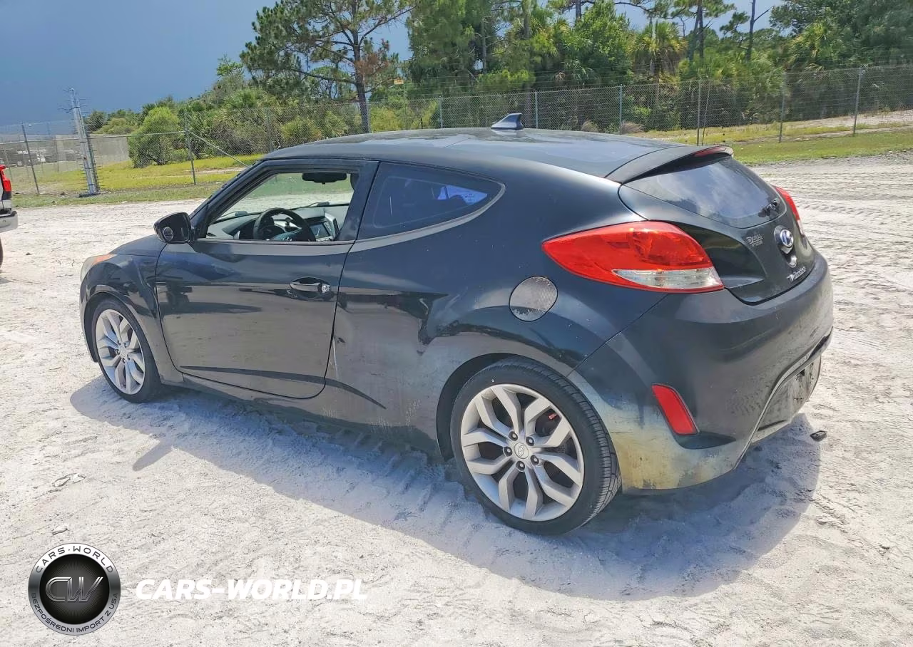 2013 Hyundai Veloster Base VIN:KMHTC6AD9DU130880 - 2