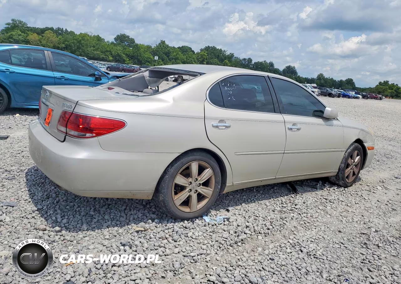 2005 Lexus Es 330 VIN:JTHBA30G255120637 - 3