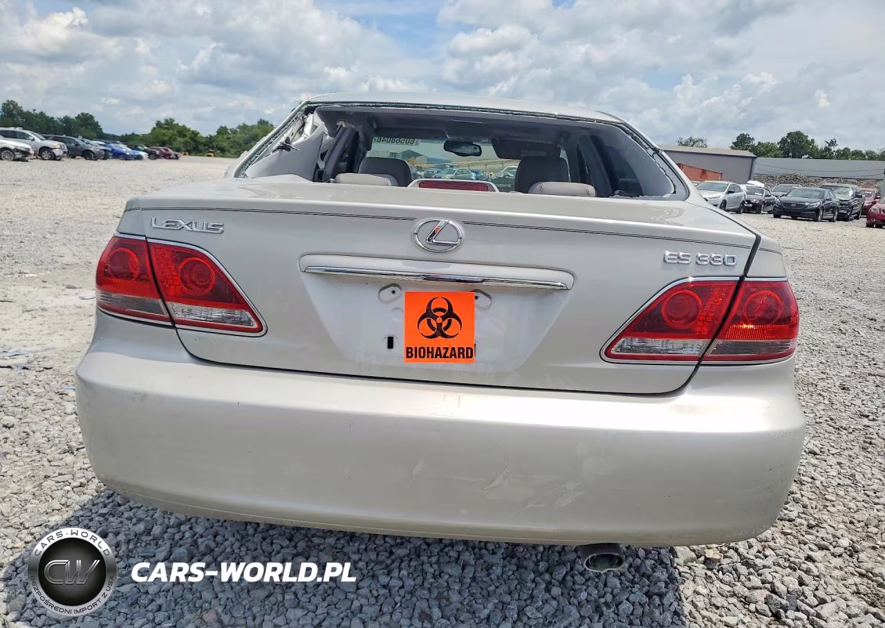 2005 Lexus Es 330 VIN:JTHBA30G255120637 - 6