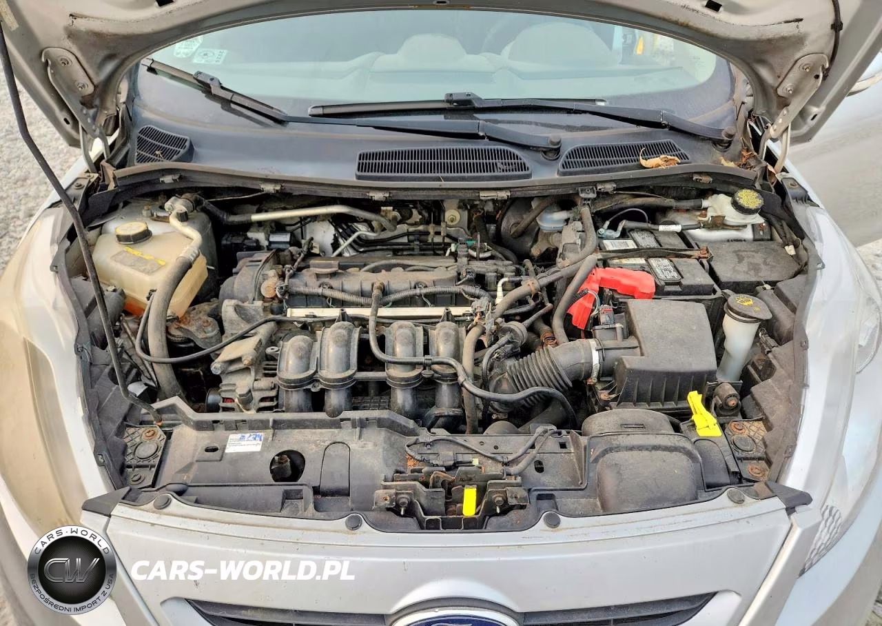 2013 Ford Fiesta Se VIN:3FADP4EJ9DM103450 - 11