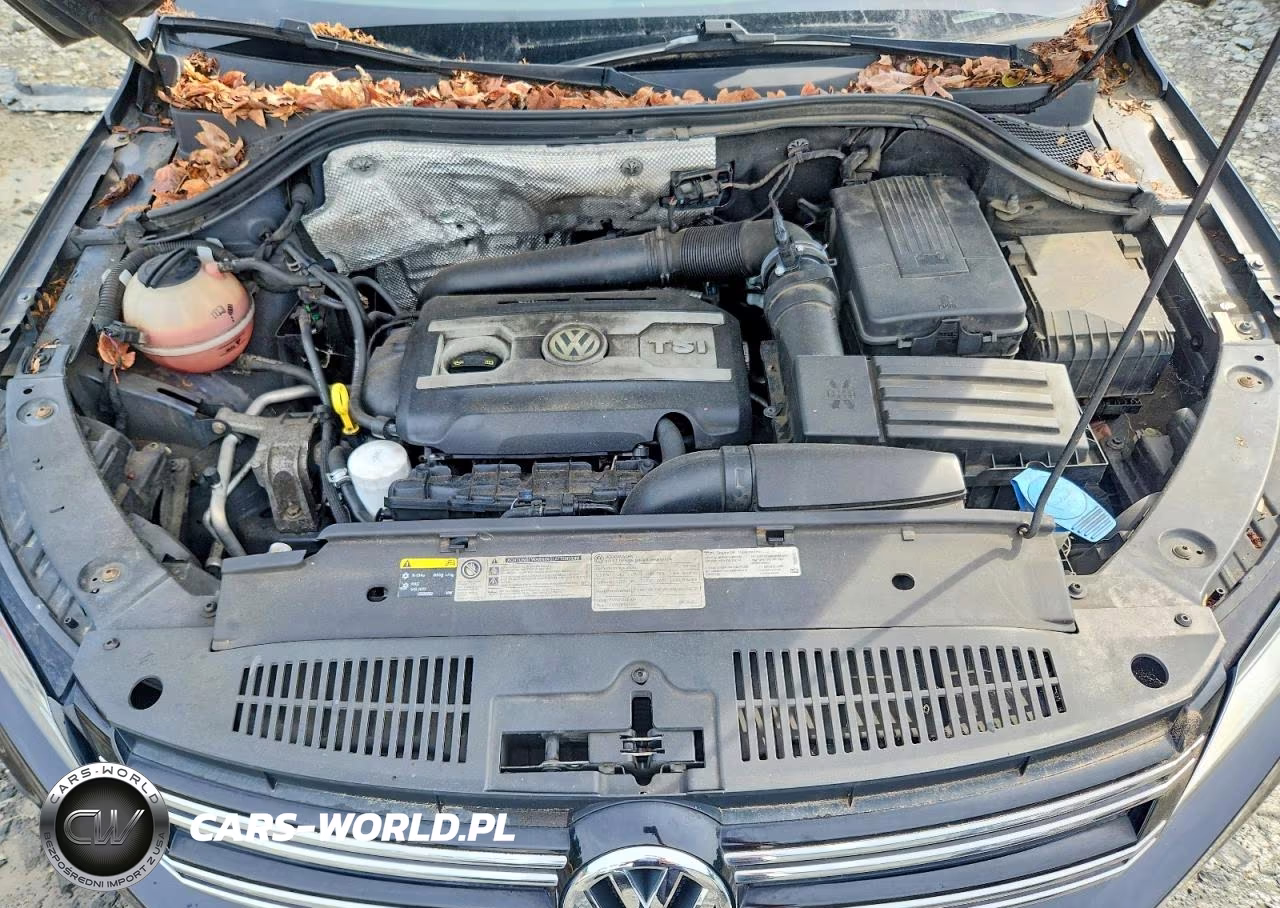 2014 Volkswagen Tiguan S VIN:WVGAV3AXXEW608871 - 11