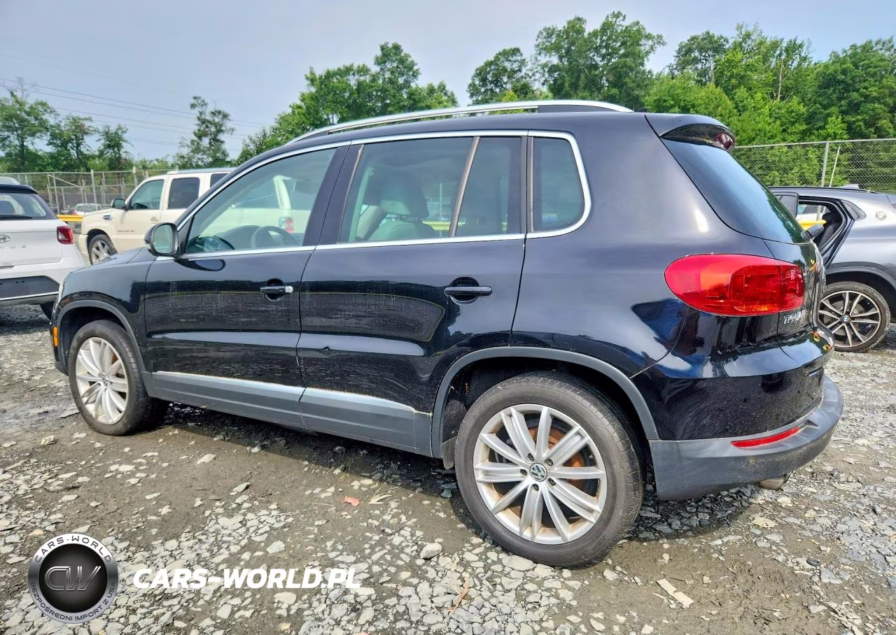 2014 Volkswagen Tiguan S VIN:WVGAV3AXXEW608871 - 2