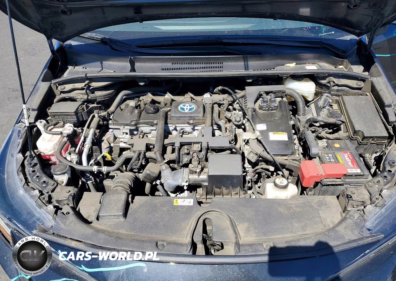 2021 Toyota Corolla Le VIN:JTDEAMDE6MJ019359 - 11