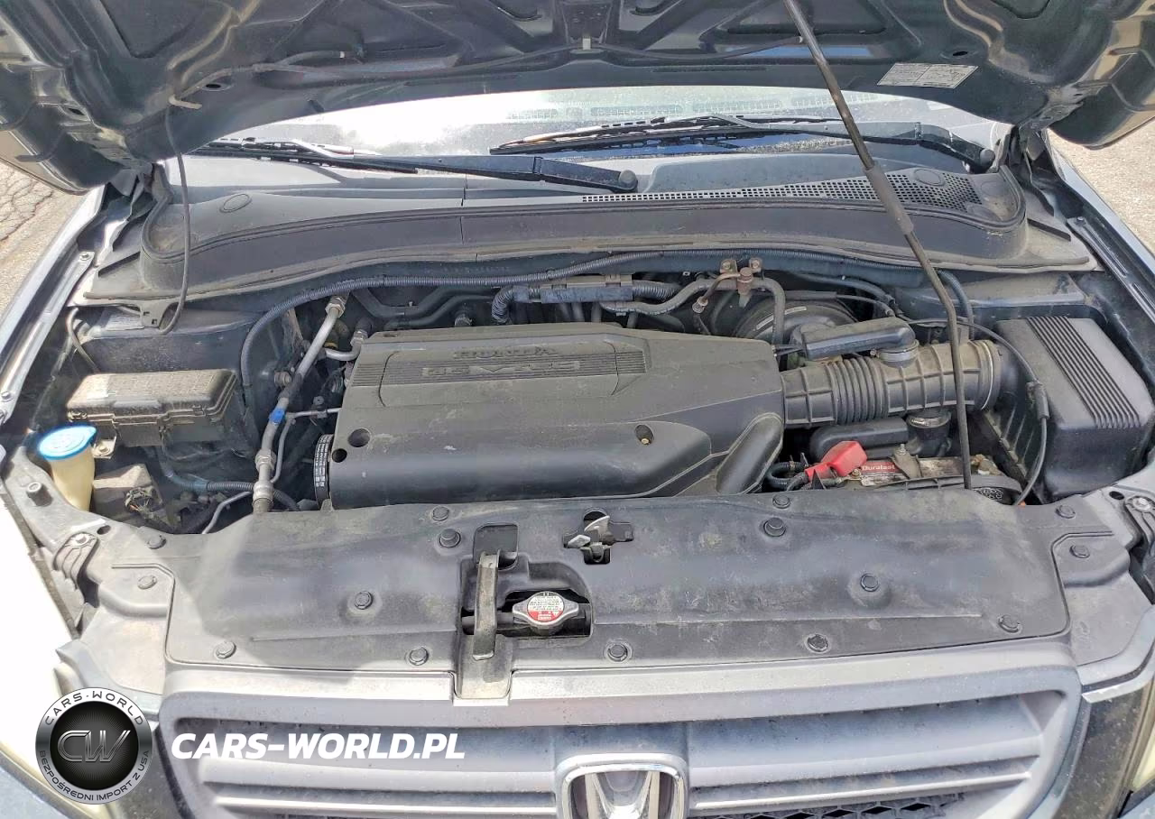 2004 Honda Pilot Ex VIN:2HKYF18454H560782 - 12