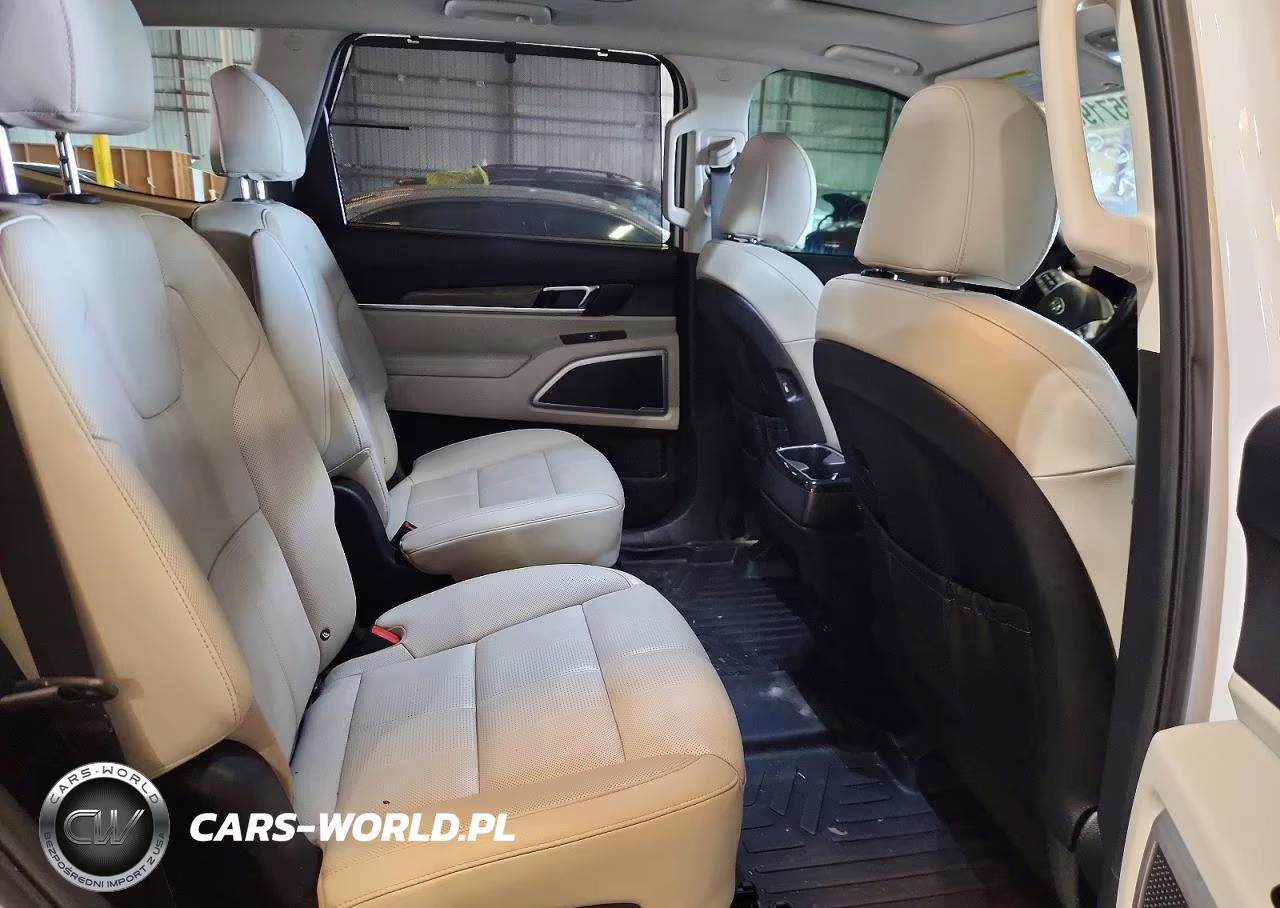 2021 Kia Telluride Ex VIN:5XYP3DHC2MG128350 - 11