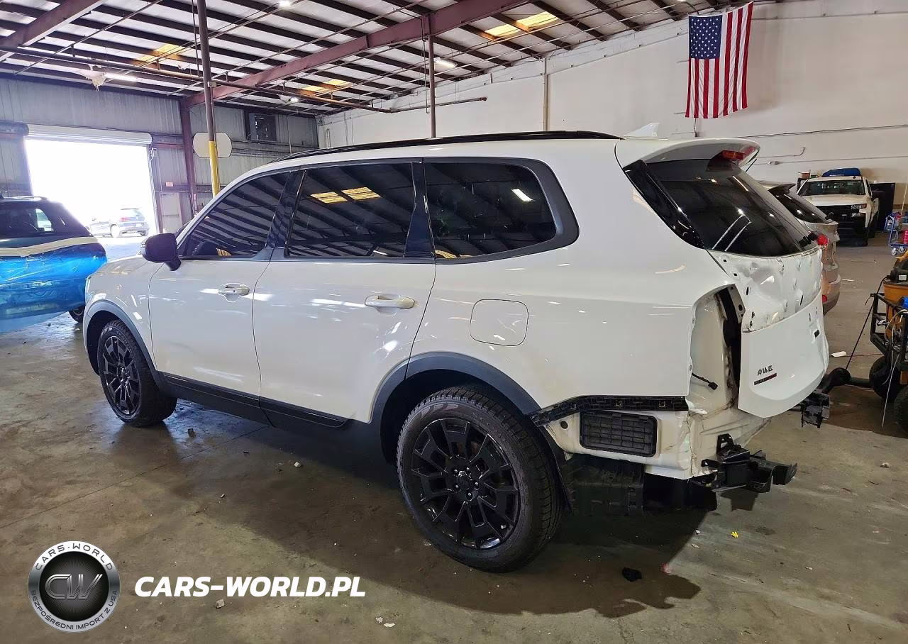 2021 Kia Telluride Ex VIN:5XYP3DHC2MG128350 - 2