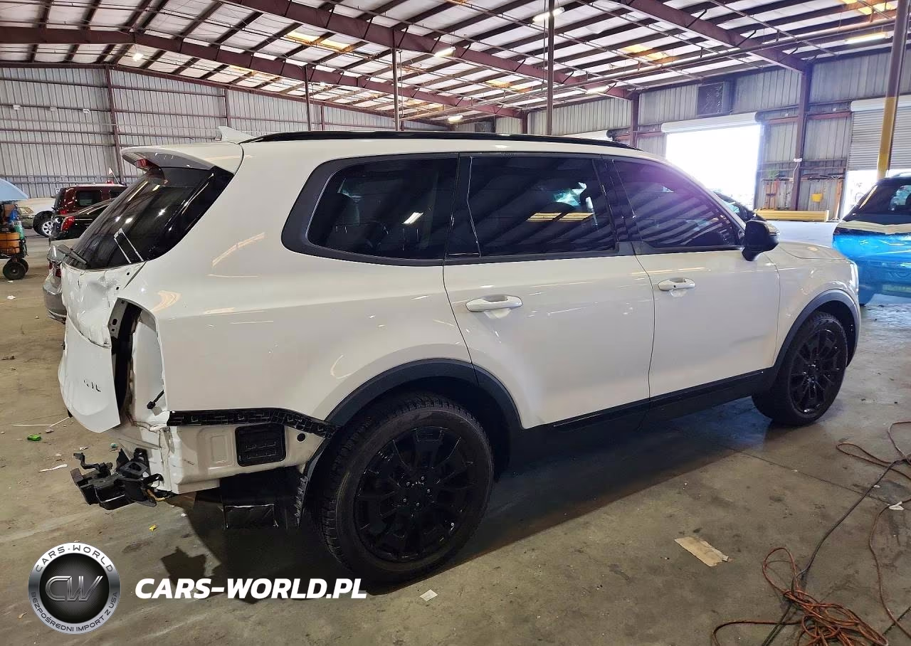 2021 Kia Telluride Ex VIN:5XYP3DHC2MG128350 - 3