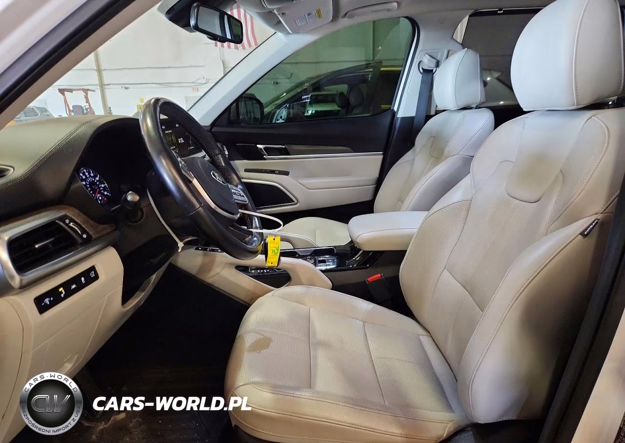 2021 Kia Telluride Ex VIN:5XYP3DHC2MG128350 - 7
