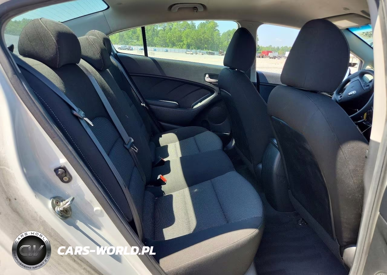 2017 Kia Forte Lx VIN:3KPFK4A76HE017413 - 10