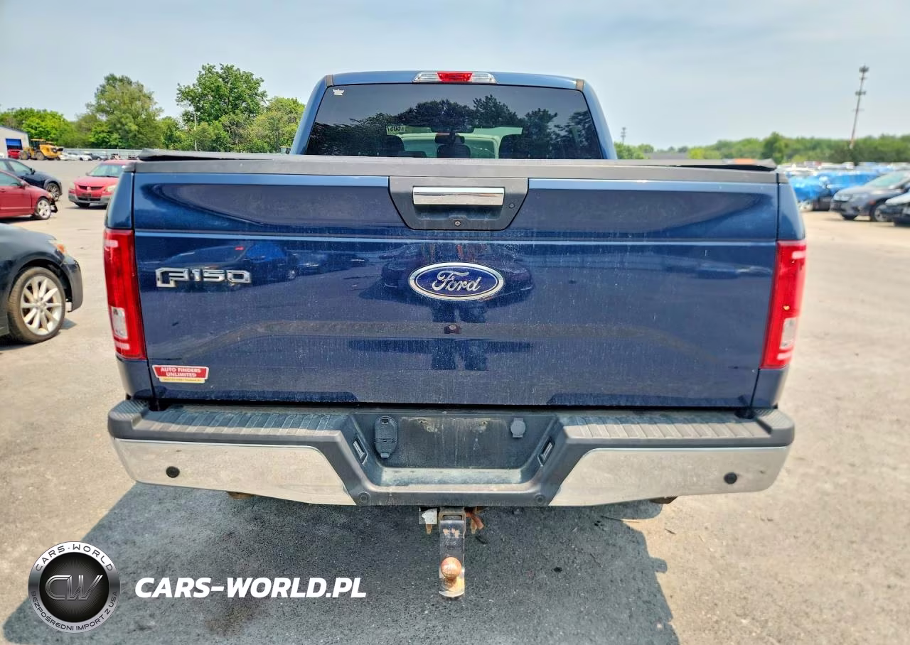 2016 Ford F150 Supercrew VIN:1FTEW1EP7GFB83548 - 6