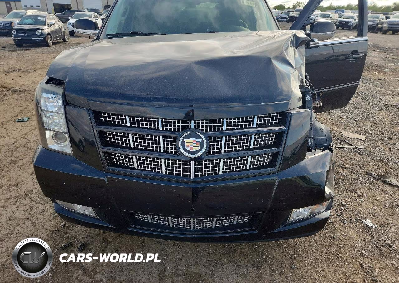 2012 Cadillac Escalade Premium VIN:1GYS4CEF1CR292117 - 12