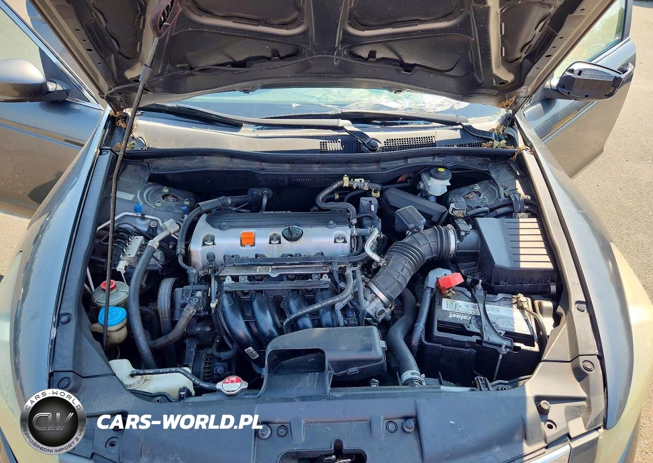 2010 Honda Accord Lxp VIN:1HGCP2F41AA101978 - 11