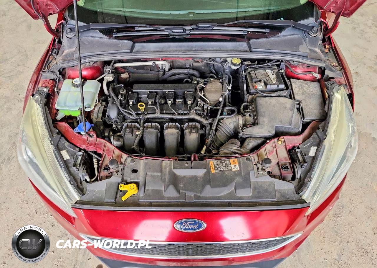 2016 Ford Focus VIN:1FADP3F28GL237034 - 11