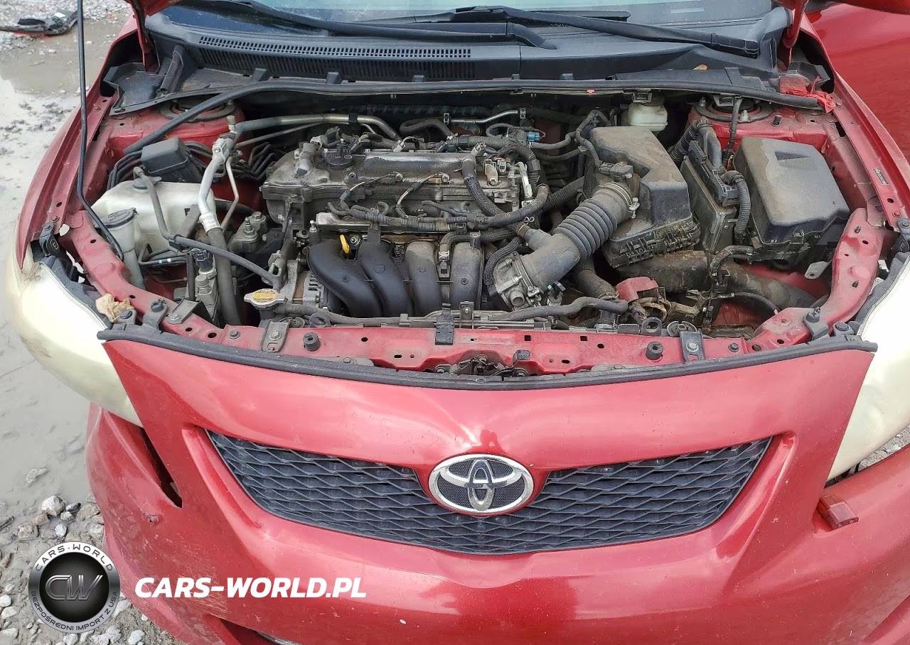 2009 Toyota Corolla Le VIN:JTDBL40E39J037456 - 11